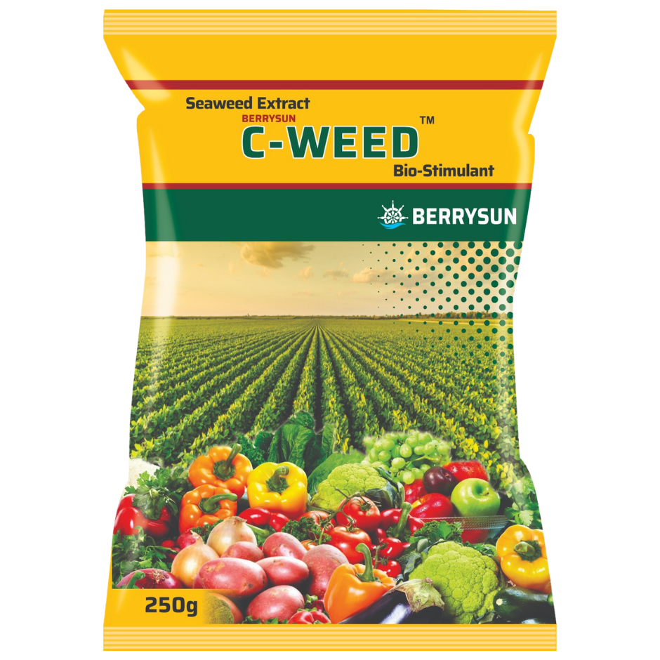 C-WEED (Seaweed Extract) Best Effective for Root development, Improve Nutrient uptake, Flowering, Plant Health, Yield, and Resistance to Pests and Diseases