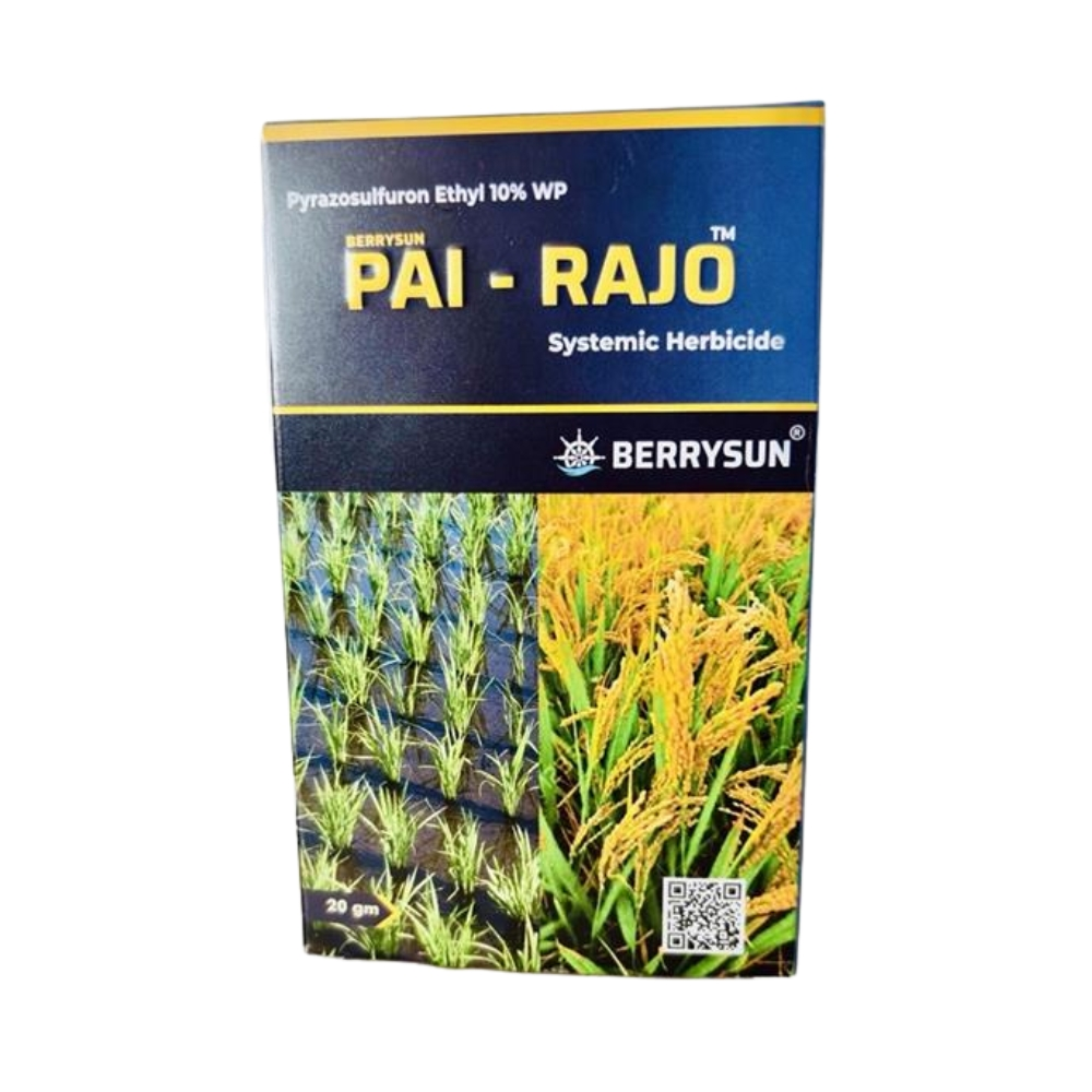 PAI RAJO (Pyrazosulfuran Ethyl 10% WP)